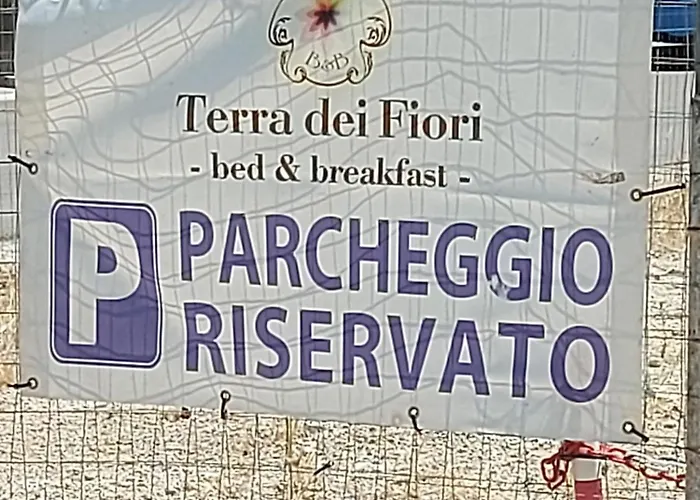 住宿加早餐酒店 Terra Dei Fiori 莱韦拉诺