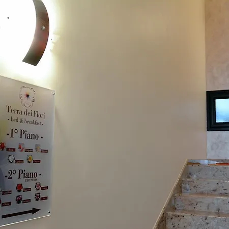 Bed & Breakfast Terra Dei Fiori 3*